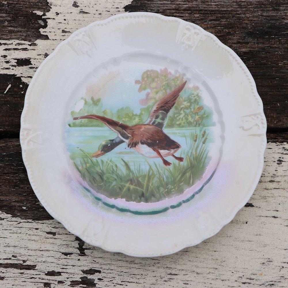 Vintage 1900s Unmarked Hand Painted Duck Plate